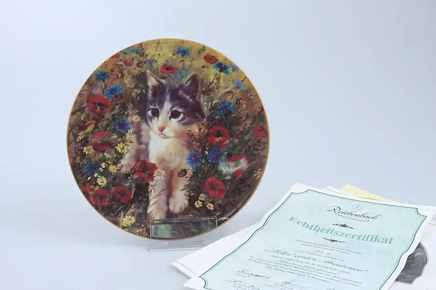 Felix erstes Abenteuer mit Zertifikat - Bradex - deutsche Kätzens Gartenfreuden