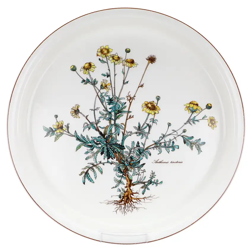 Auflaufform Quicheform extragroß Anthemis tinctoria - Villeroy & Boch Botanica