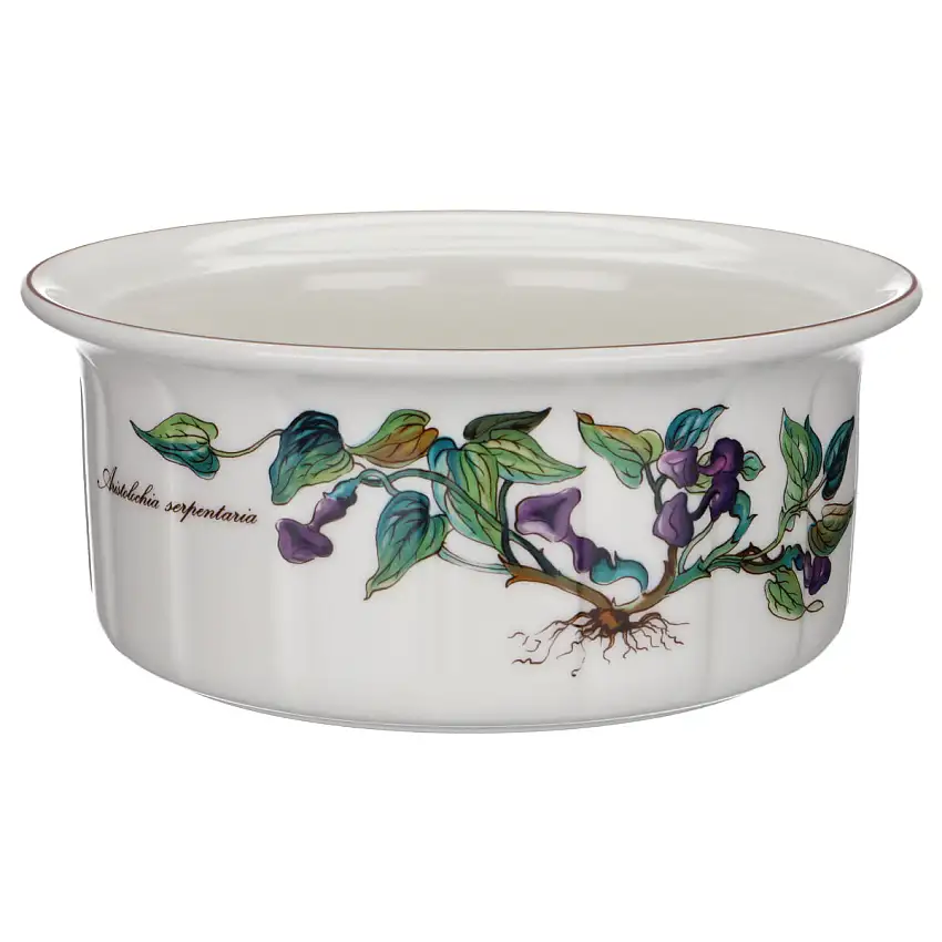 Auflaufform mittelgroß Nr. 2 Aristolochia serpentaria - Villeroy & Boch Botanica